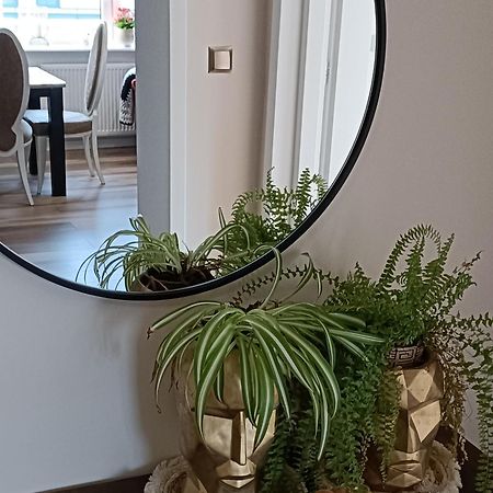 Apartamenty Holender House Choczewo Εξωτερικό φωτογραφία