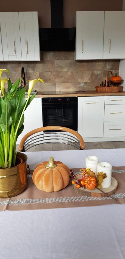 Apartamenty Holender House Choczewo Εξωτερικό φωτογραφία