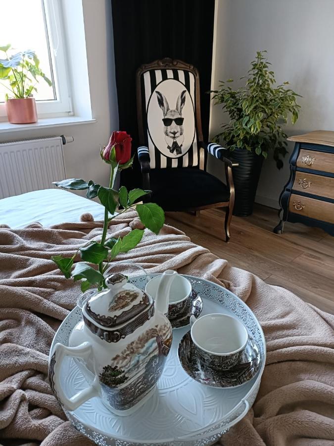 Apartamenty Holender House Choczewo Εξωτερικό φωτογραφία