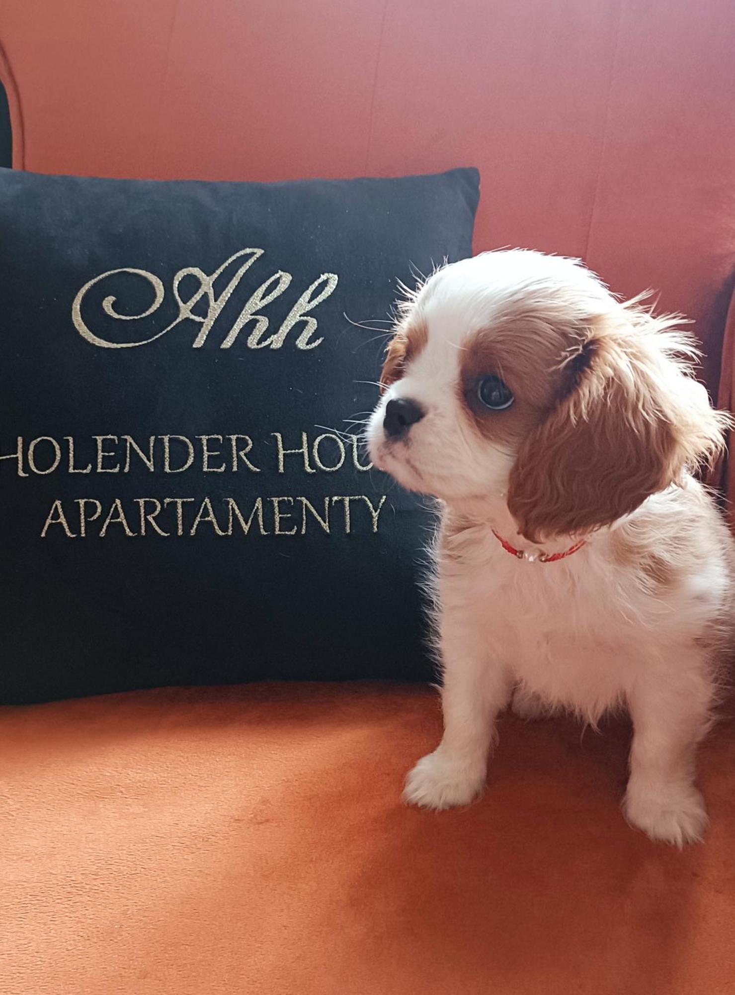 Apartamenty Holender House Choczewo Εξωτερικό φωτογραφία