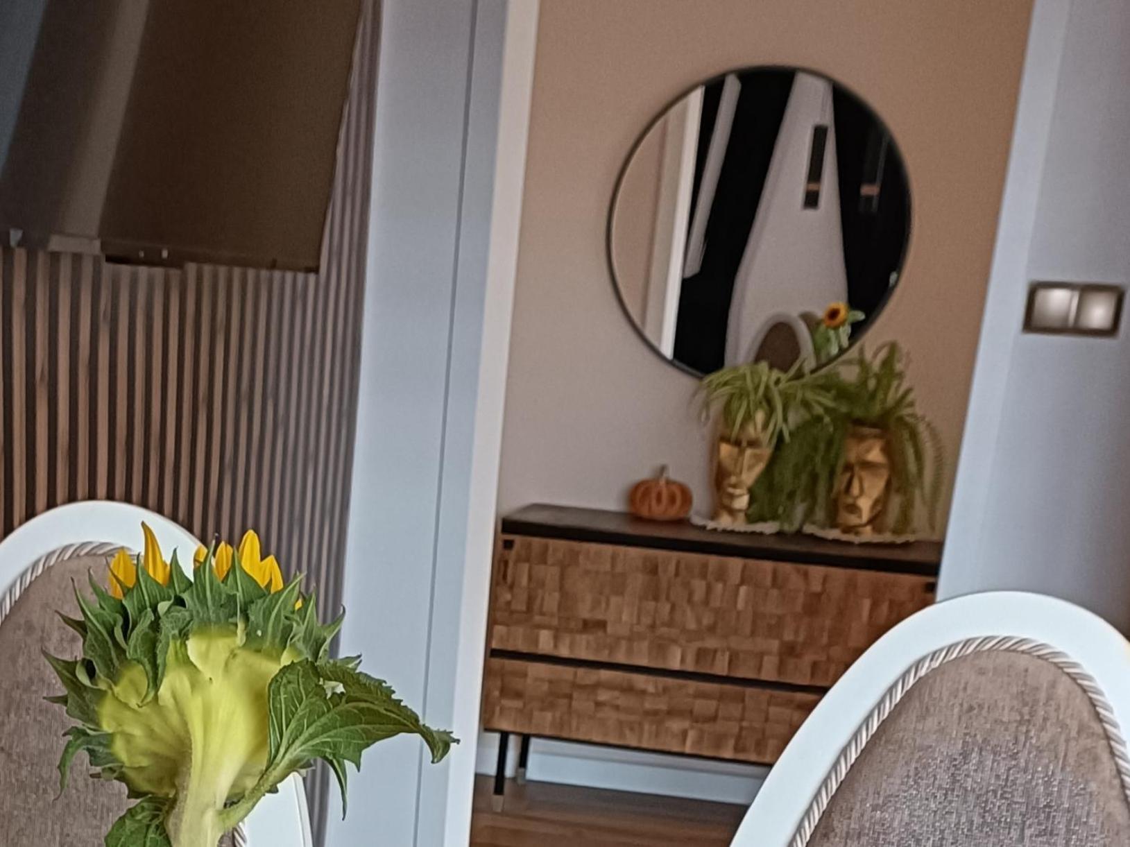 Apartamenty Holender House Choczewo Εξωτερικό φωτογραφία